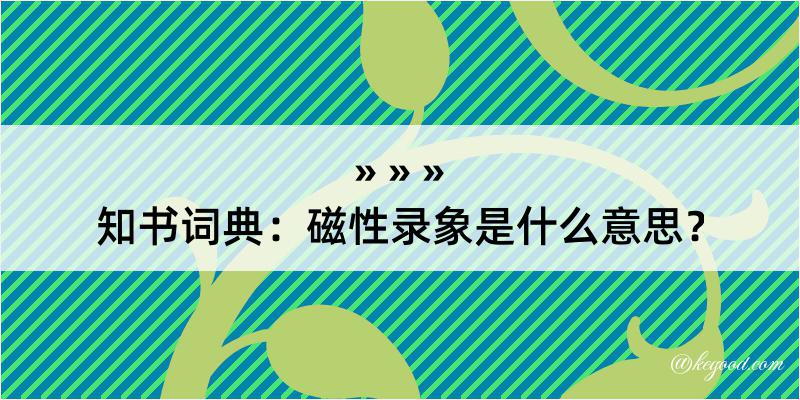 知书词典：磁性录象是什么意思？