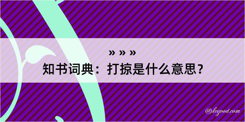 知书词典：打掠是什么意思？