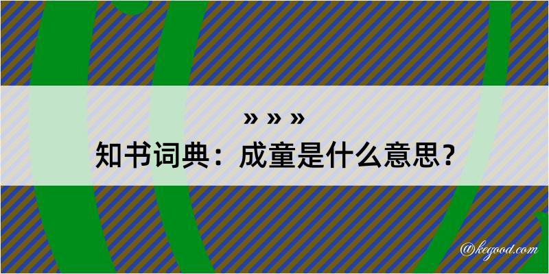 知书词典：成童是什么意思？