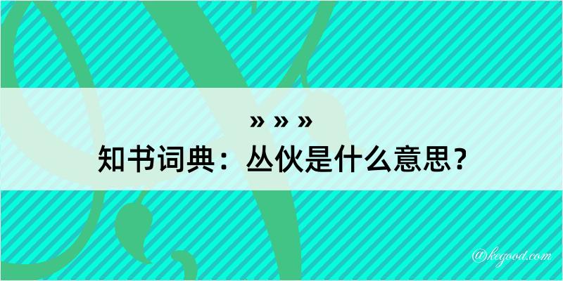 知书词典：丛伙是什么意思？