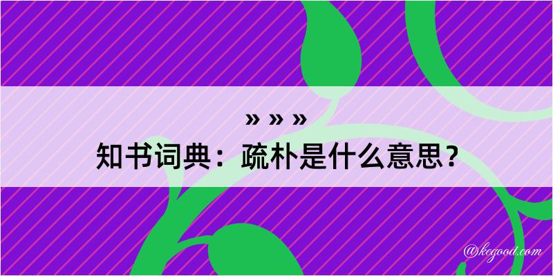 知书词典：疏朴是什么意思？