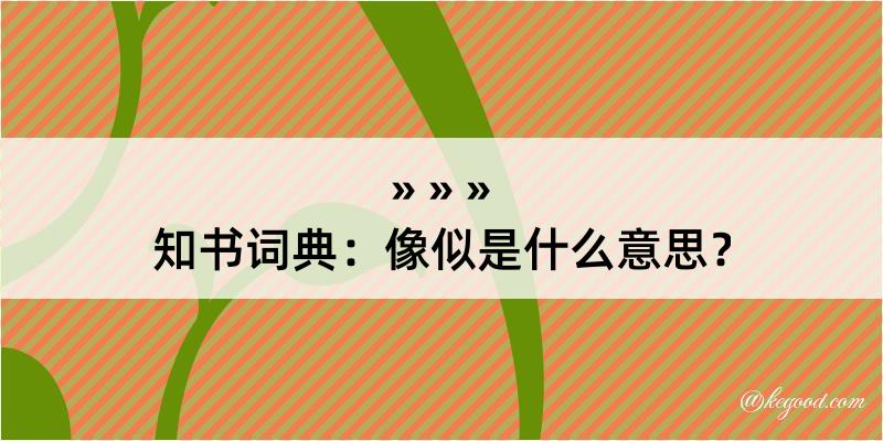 知书词典：像似是什么意思？