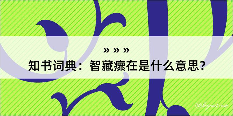 知书词典：智藏瘝在是什么意思？