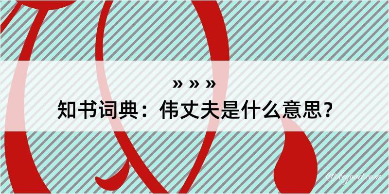 知书词典：伟丈夫是什么意思？