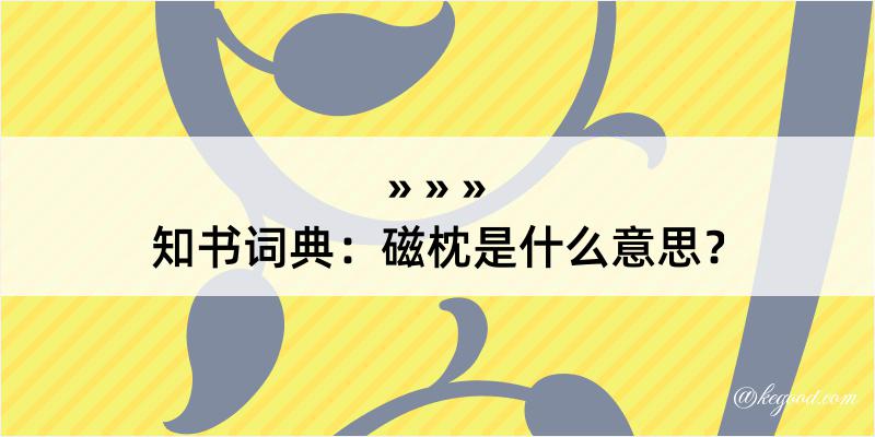 知书词典：磁枕是什么意思？