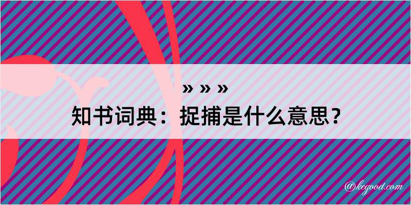 知书词典：捉捕是什么意思？