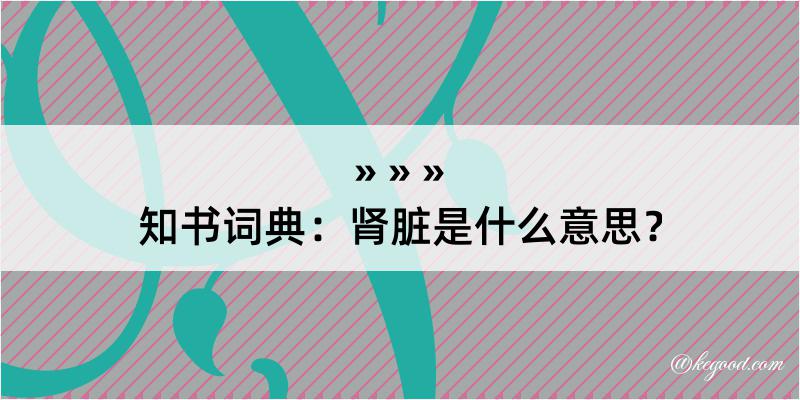 知书词典：肾脏是什么意思？