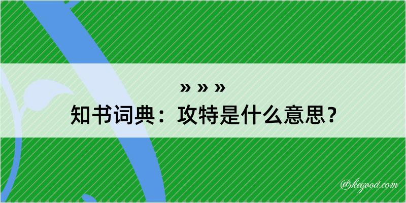 知书词典：攻特是什么意思？