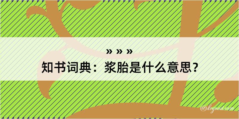 知书词典：浆胎是什么意思？