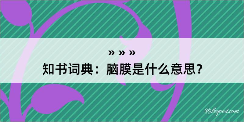 知书词典：脑膜是什么意思？