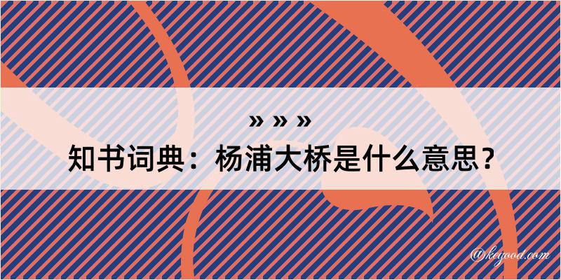 知书词典：杨浦大桥是什么意思？