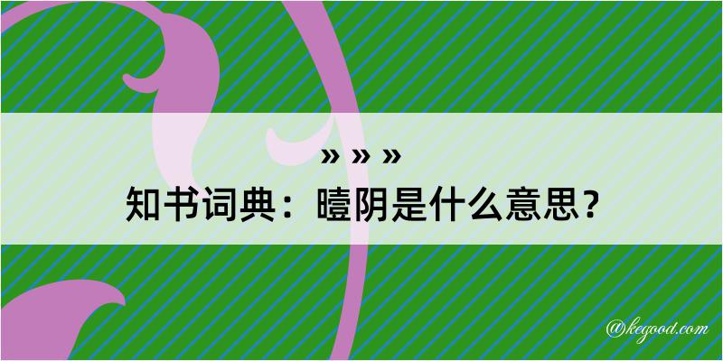 知书词典：曀阴是什么意思？