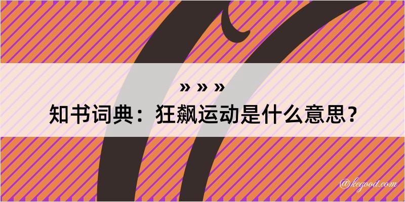 知书词典：狂飙运动是什么意思？