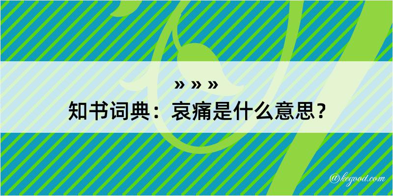 知书词典：哀痛是什么意思？