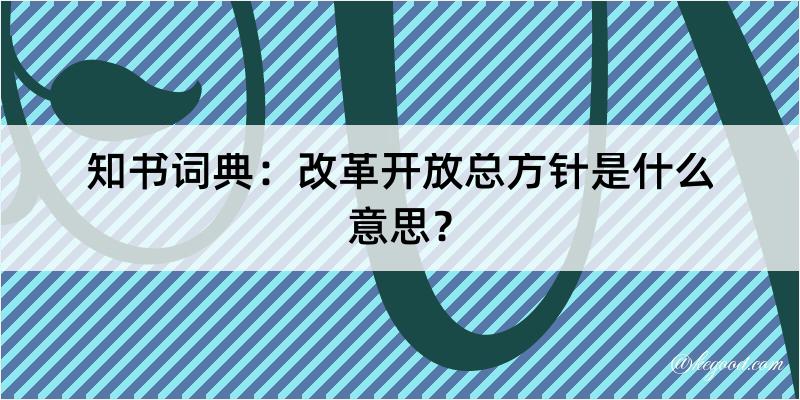 知书词典：改革开放总方针是什么意思？