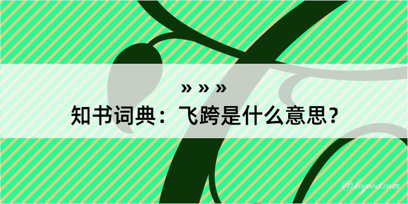 知书词典：飞跨是什么意思？