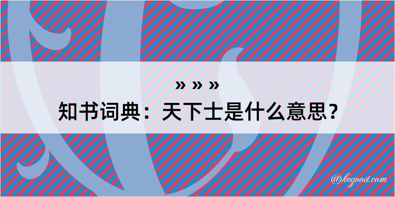 知书词典：天下士是什么意思？