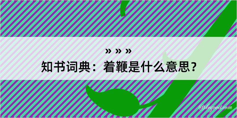 知书词典：着鞭是什么意思？