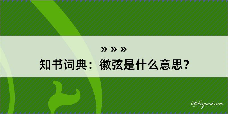 知书词典：徽弦是什么意思？