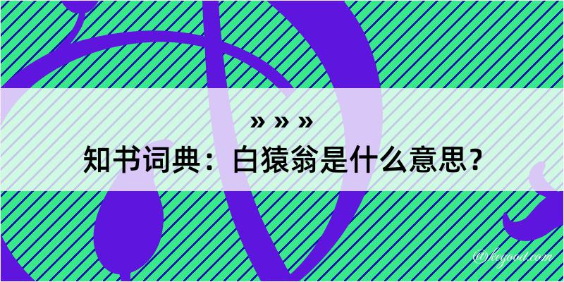 知书词典：白猿翁是什么意思？