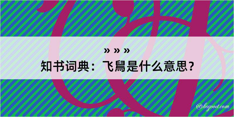 知书词典：飞舃是什么意思？