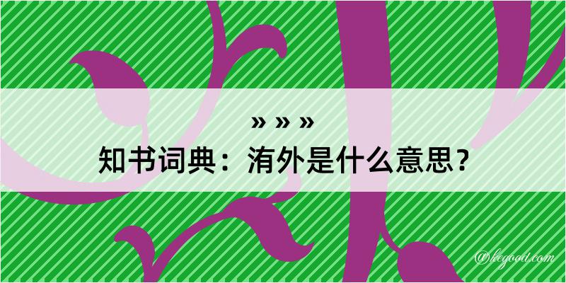 知书词典：洧外是什么意思？