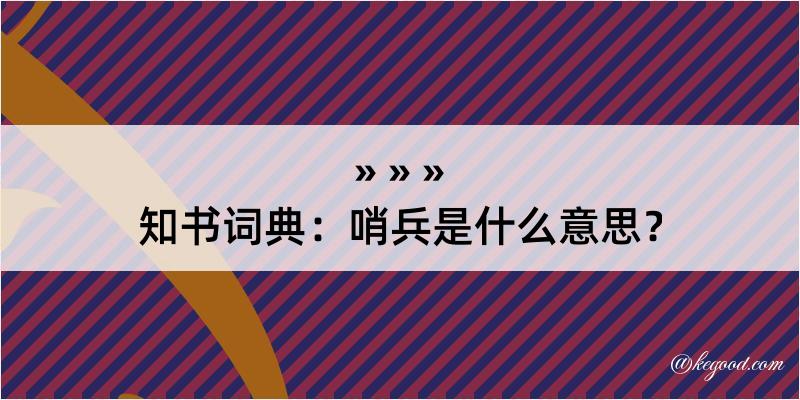 知书词典：哨兵是什么意思？