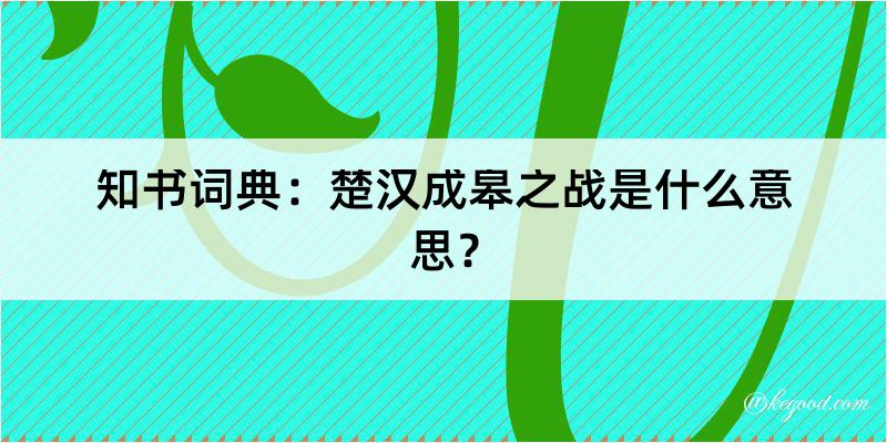 知书词典：楚汉成皋之战是什么意思？