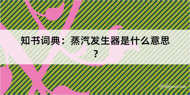 知书词典：蒸汽发生器是什么意思？