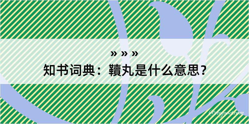 知书词典：韇丸是什么意思？