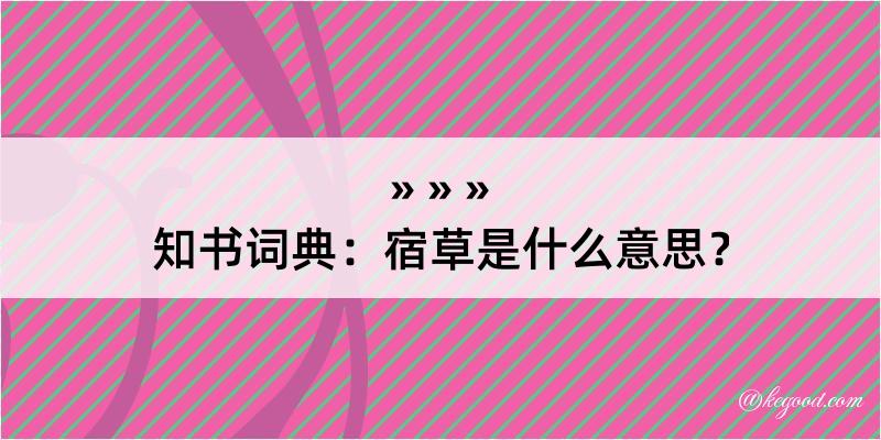 知书词典：宿草是什么意思？