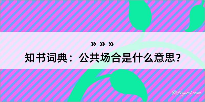 知书词典：公共场合是什么意思？