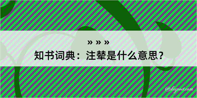 知书词典：注辇是什么意思？