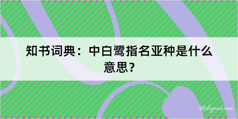 知书词典：中白鹭指名亚种是什么意思？