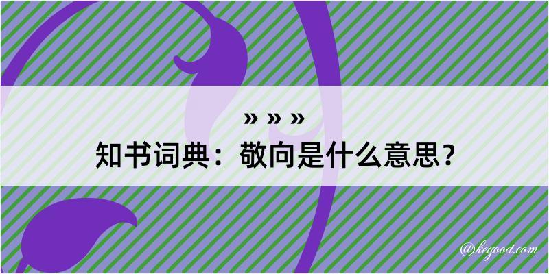 知书词典：敬向是什么意思？