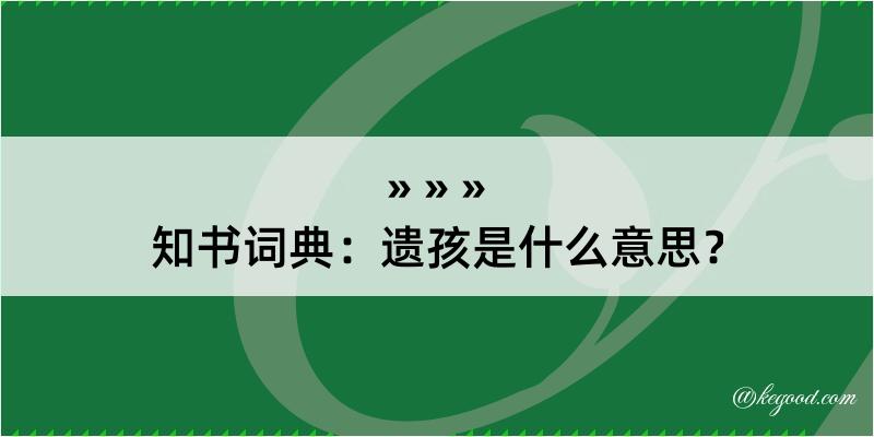 知书词典：遗孩是什么意思？