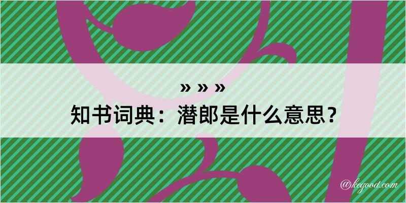 知书词典：潜郎是什么意思？