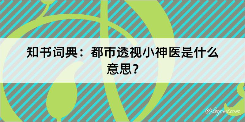 知书词典：都市透视小神医是什么意思？