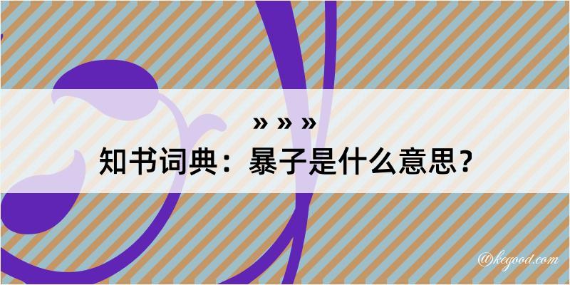 知书词典：暴子是什么意思？