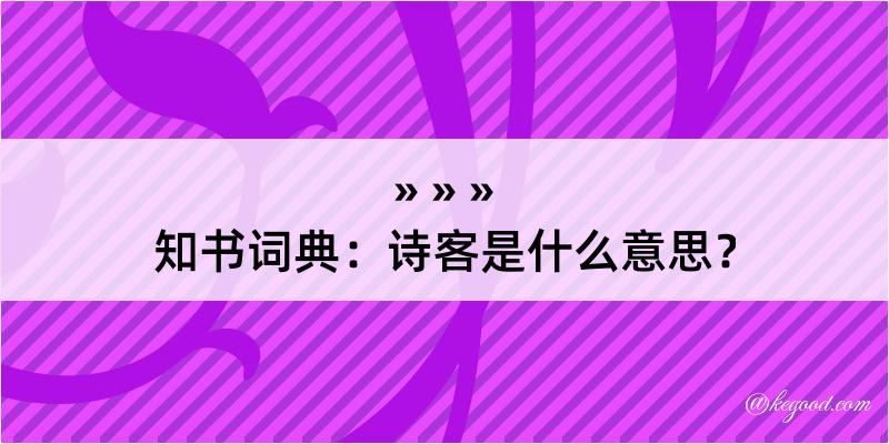 知书词典：诗客是什么意思？