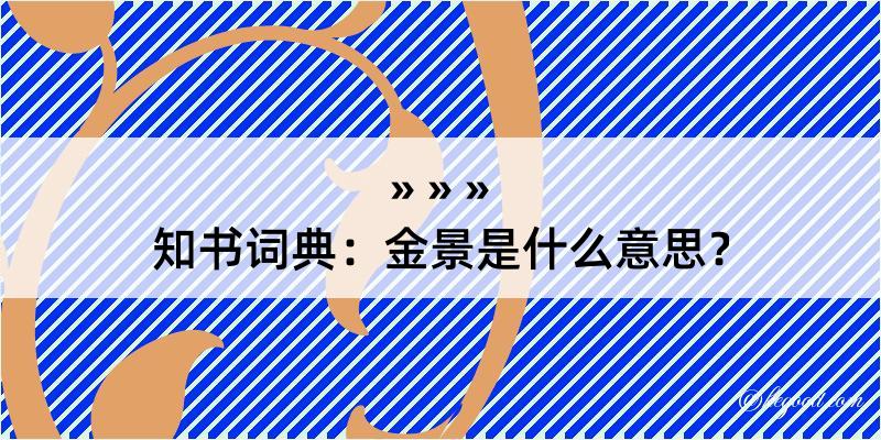 知书词典：金景是什么意思？