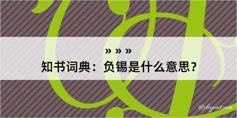 知书词典：负锡是什么意思？