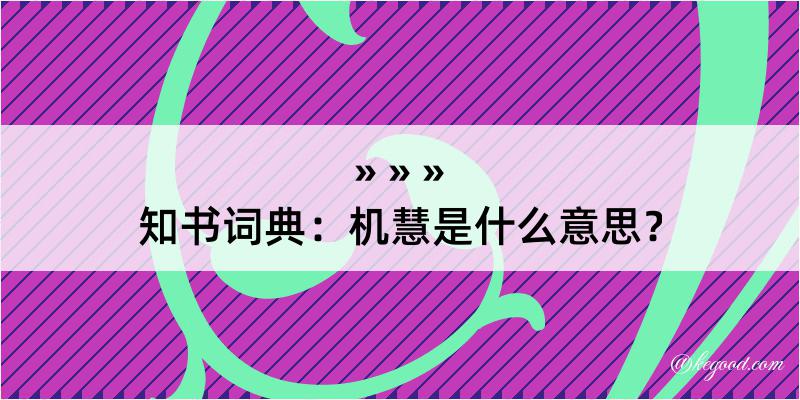 知书词典：机慧是什么意思？