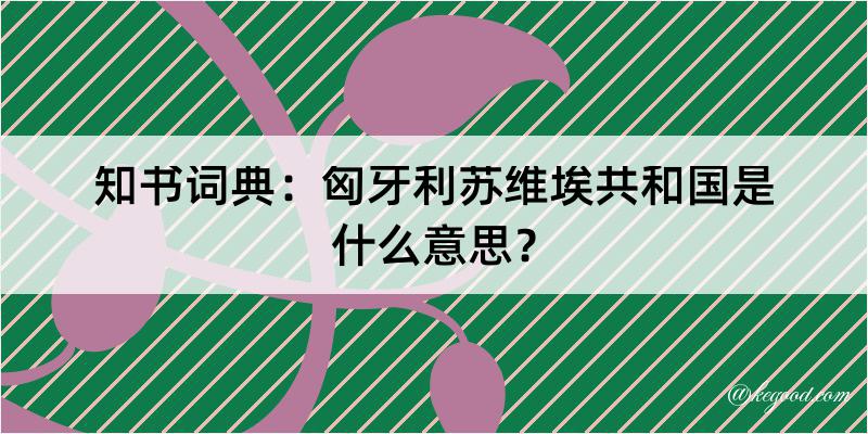 知书词典：匈牙利苏维埃共和国是什么意思？