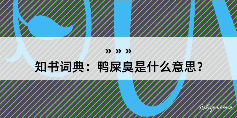 知书词典：鸭屎臭是什么意思？