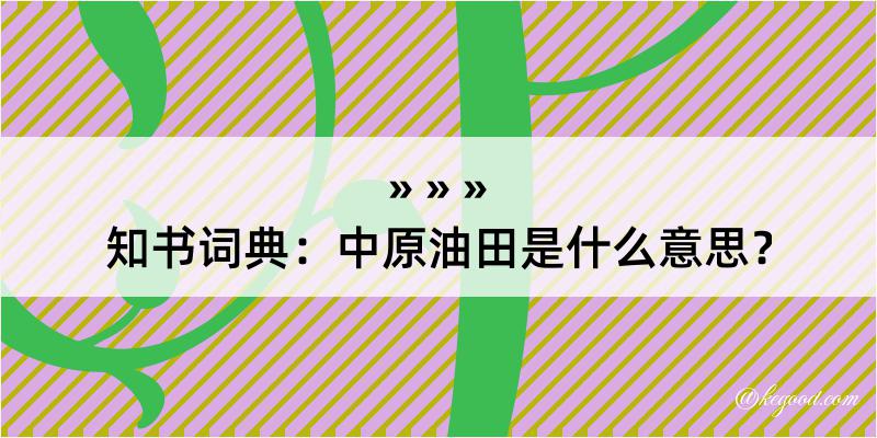 知书词典：中原油田是什么意思？