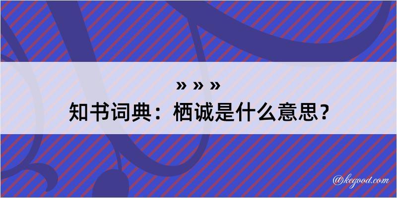 知书词典：栖诚是什么意思？