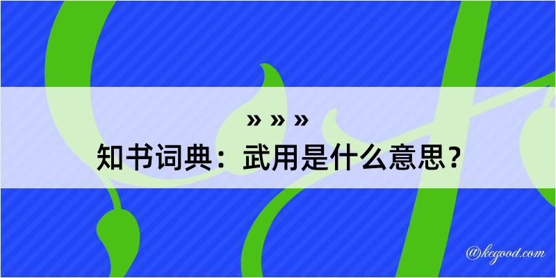 知书词典：武用是什么意思？