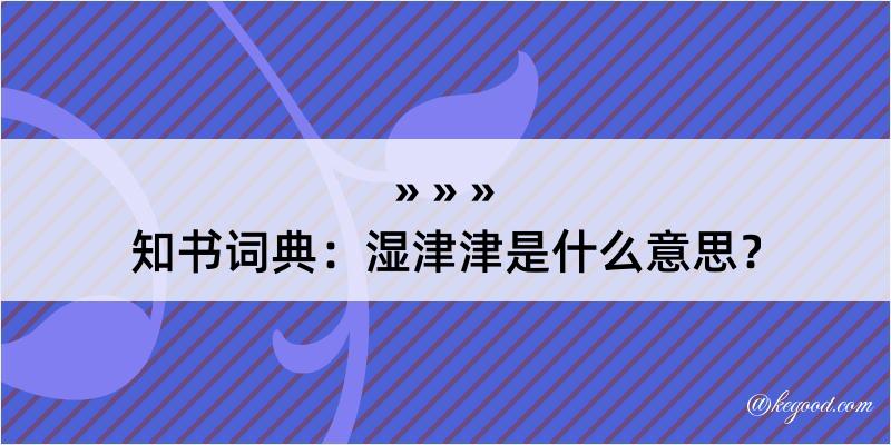 知书词典：湿津津是什么意思？