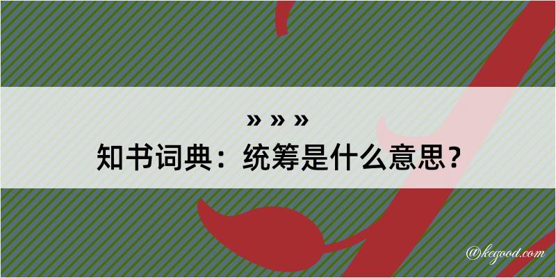 知书词典：统筹是什么意思？